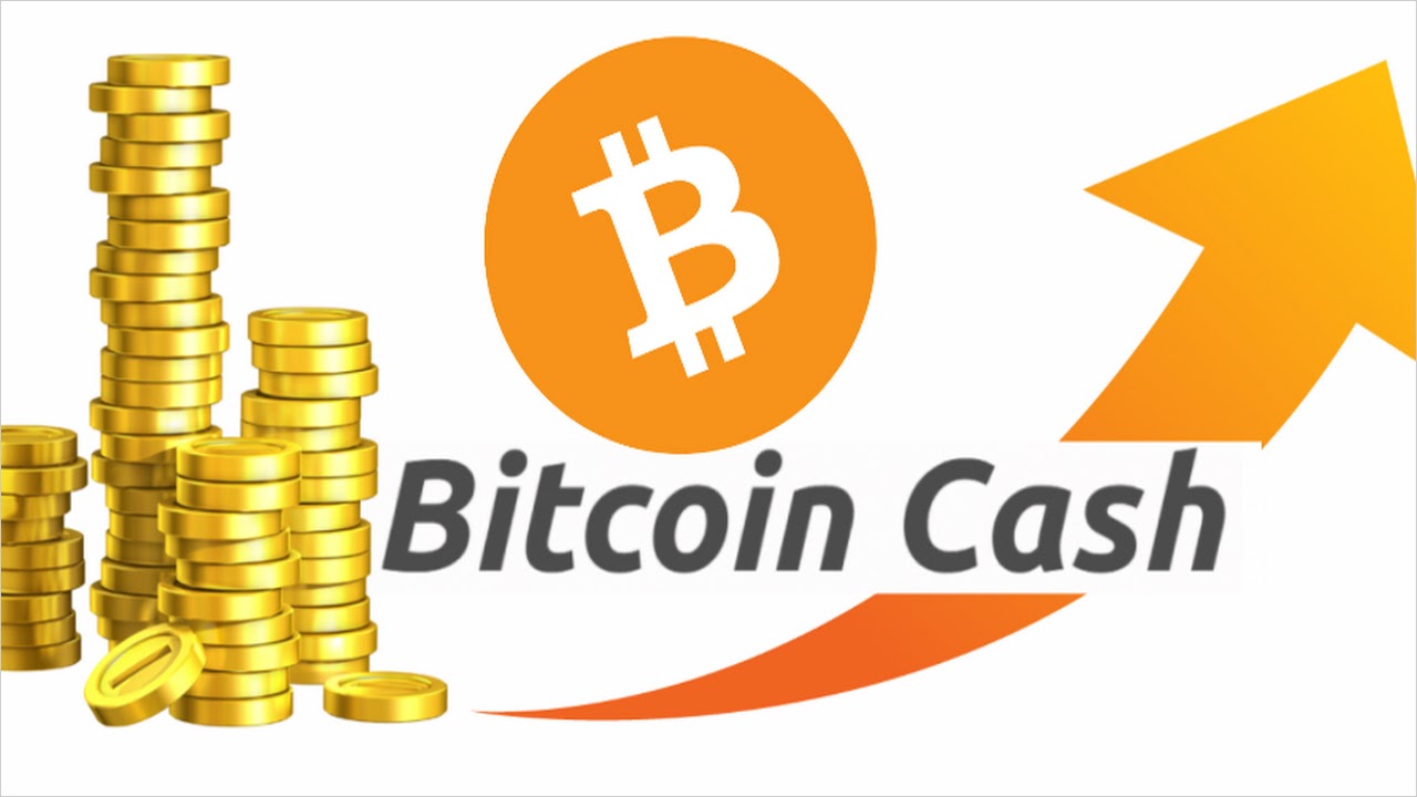 Bch cash