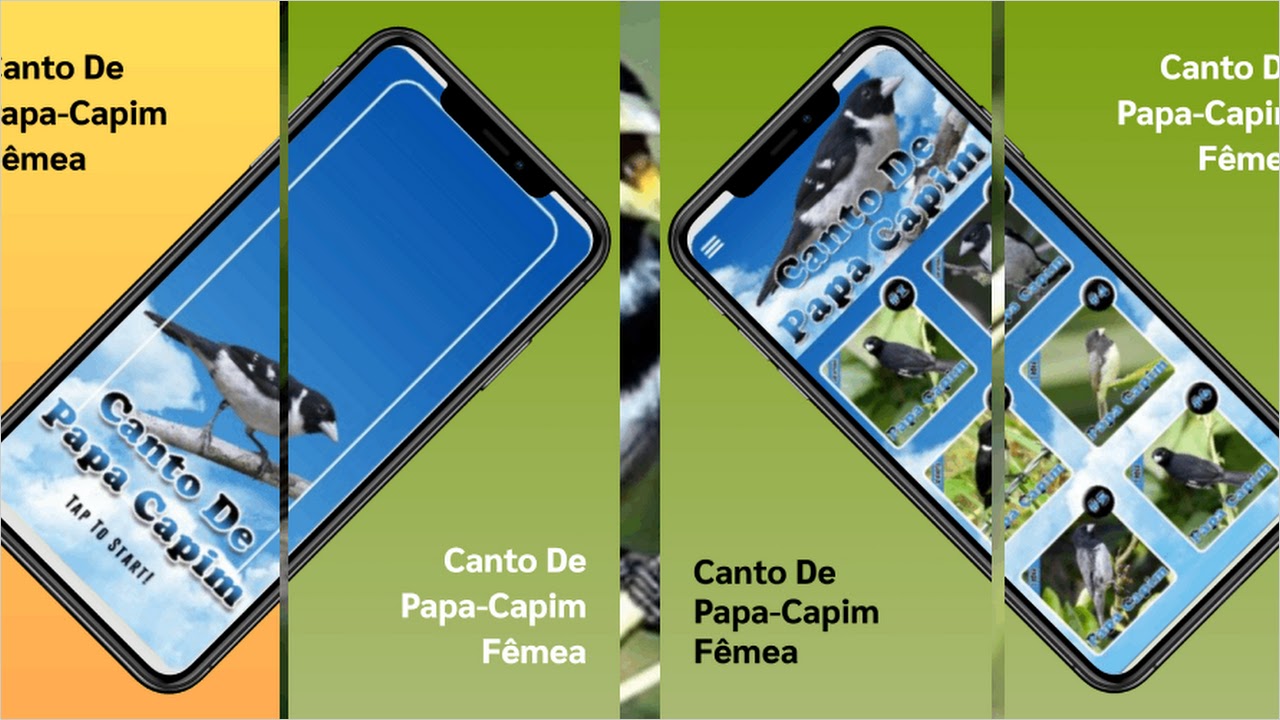 Canto De Papa Capim for Android - Free App Download